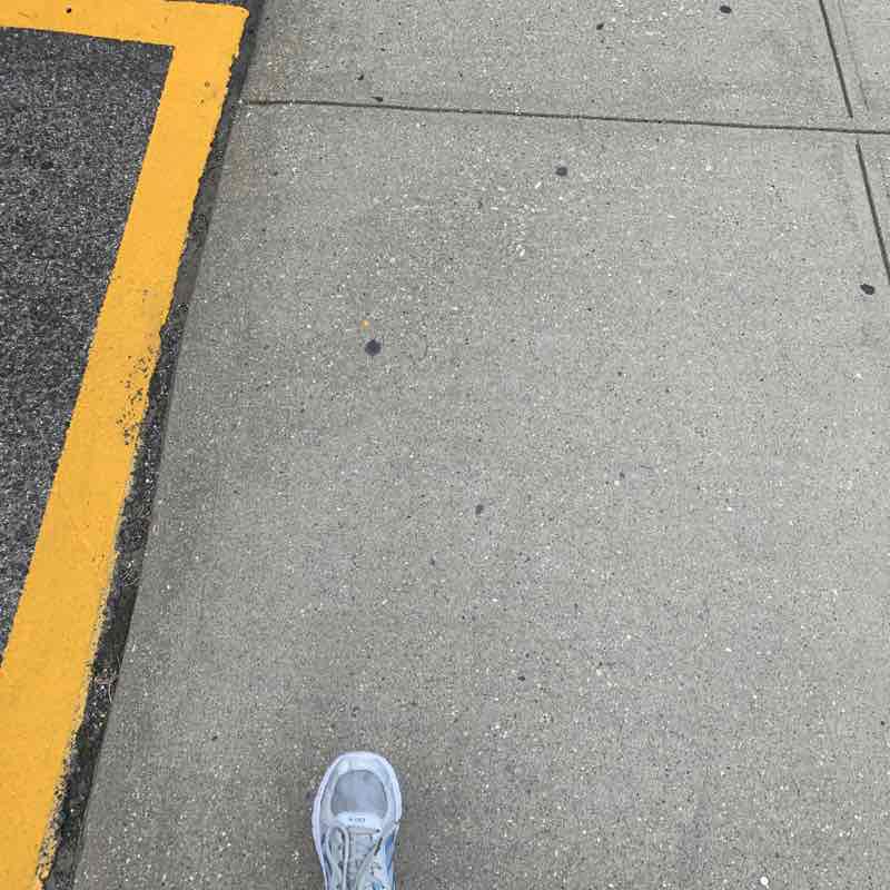 Bronx River Rd walk walking route map in Mount Vernon