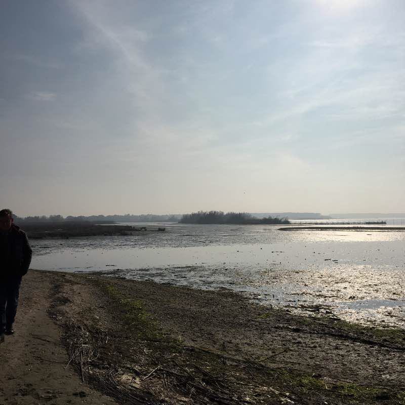 Mouth of the Po di Volano walking route map in Lido di Volano