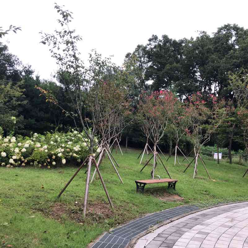 관악산 둘레길 동편마으ㄹ