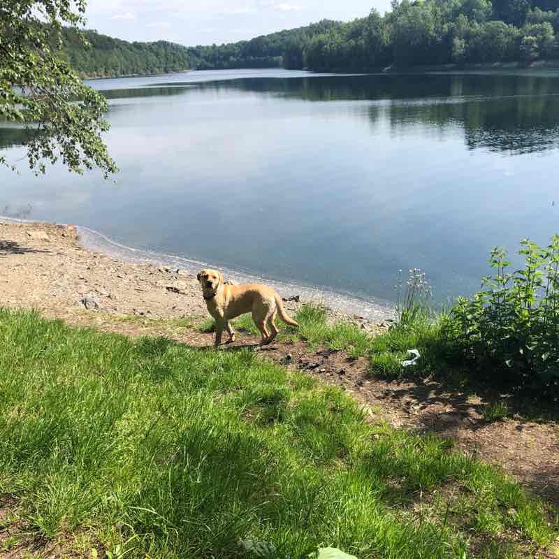 Convenience Store walking route map in Radevormwald
