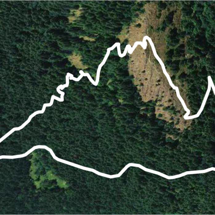 Spencer’s Butte Loop