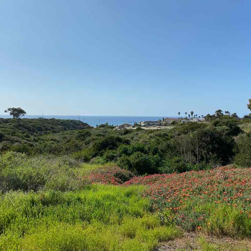 Round trip run from Linda Lane to State Park