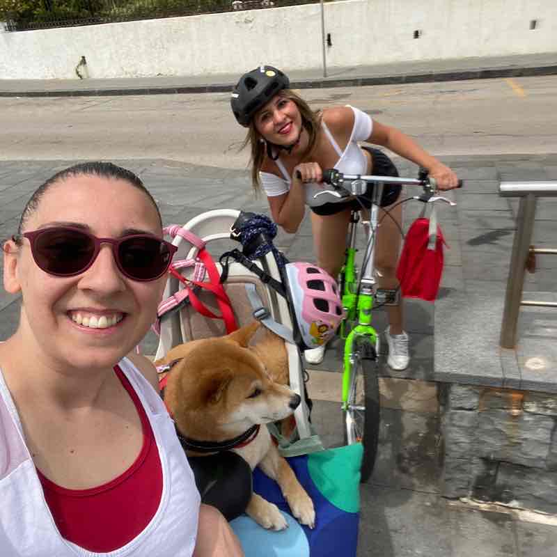Giro in bicicletta