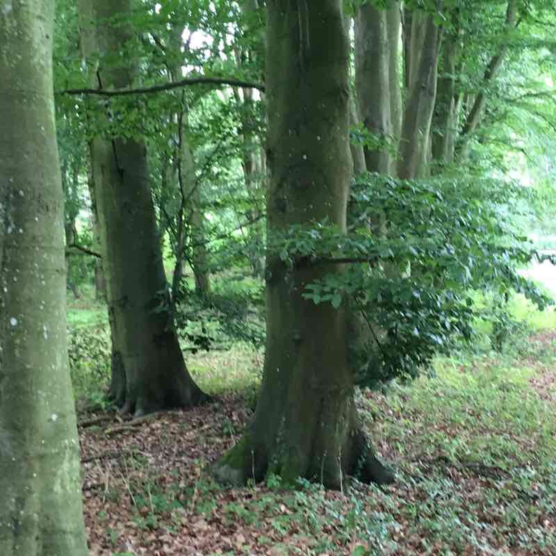 10k deer run walking route map in Abingdon