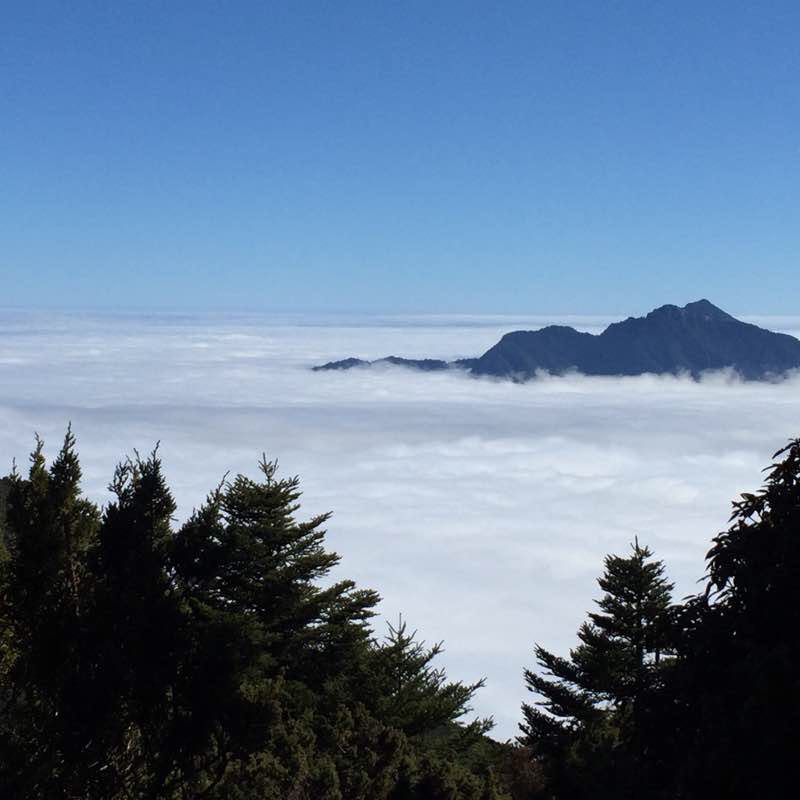 Bi Lu sheep head walking away Trail Xiulin, Hualien County, Taiwan, China Pacer