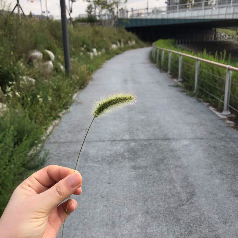 우리동네 옥정공워ㄴ