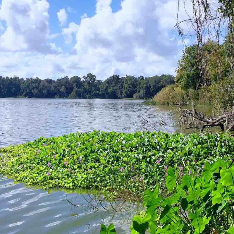 Bivens Rim Forest Conservative Area walking route map in Micanopy