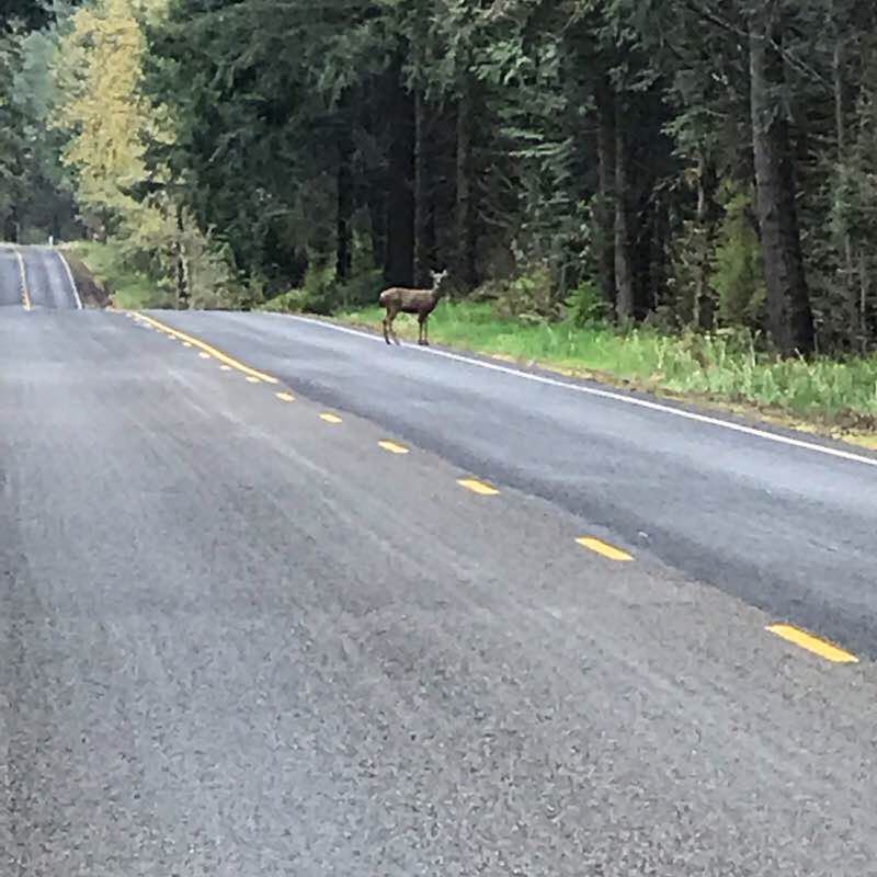 Barnes State Park walking route map in Castle Rock