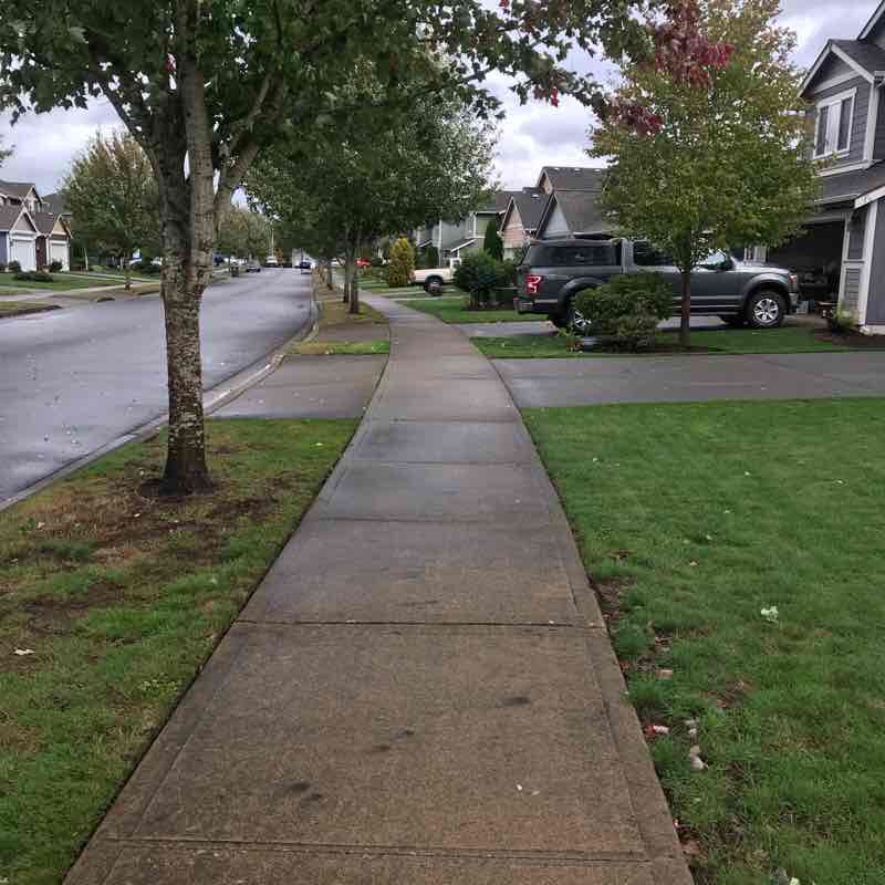 Harold & Goldmyer walking route map in Chehalis