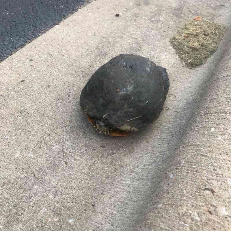 Pointe Royale walking route map in Hollister