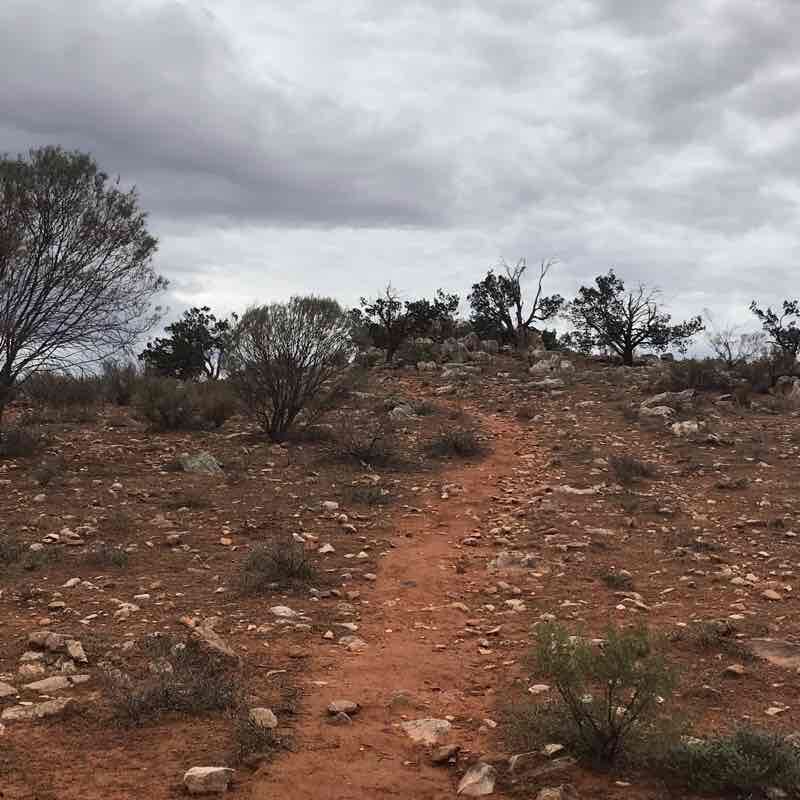 Flinders Ranges  walking route map in Hawker