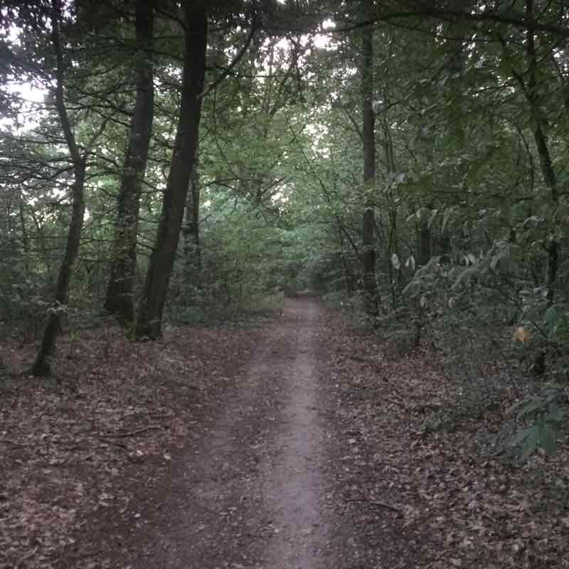 Wintershouse  walking route map in Haguenau
