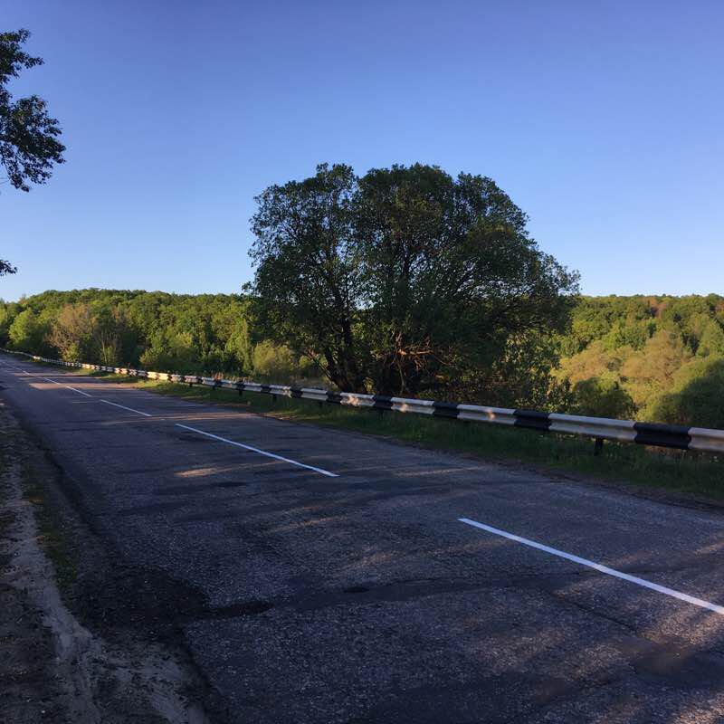 Mitten. Forest. walking route map in Kamenka