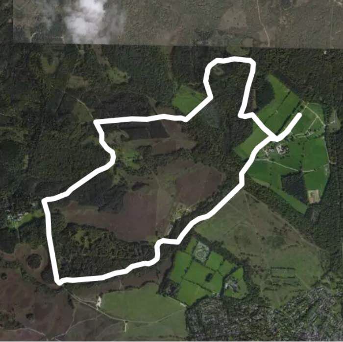 marathon 10k New Fores UK