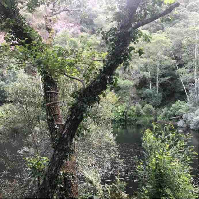 Relax walking route map in Fornelos