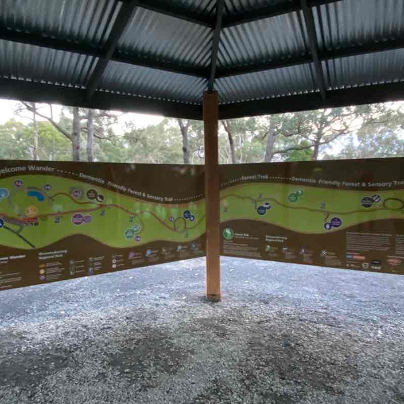 Woowookarung Forest Walk