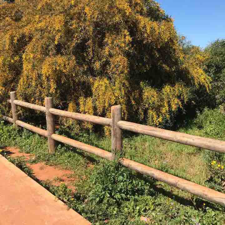 Harhoura micro climate great walking route map in Temara