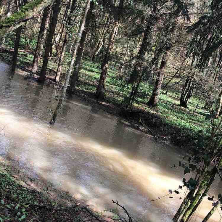 Walk moineville 15 km walking route map in Auboué