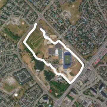 Tune Cousy park park