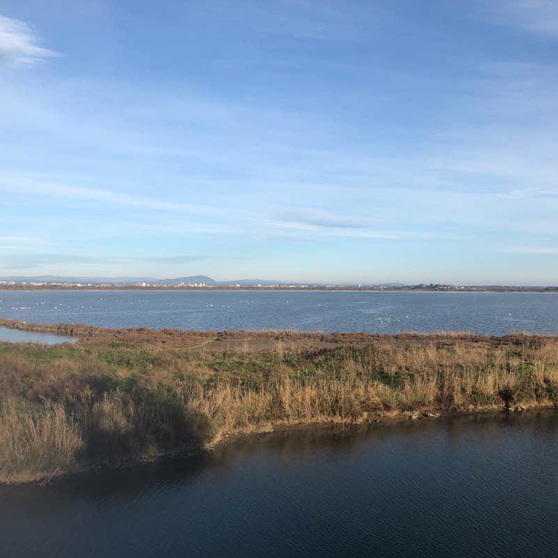 Up to Lattes walking route map in Palavas-les-Flots