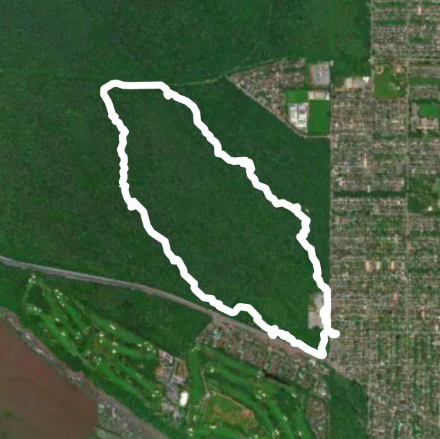 Pacific Spirit Hemlock St George and Salish Trails