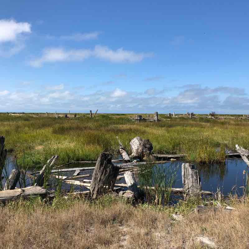 Terra Nova Rural Park, West Dyke & Adventure Park Walk Richmond