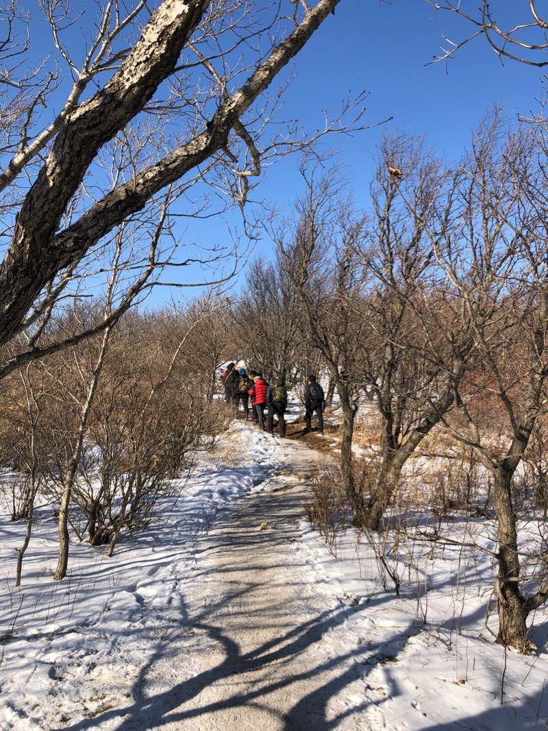walking near me on 선자령.1월 둘째주 walking route