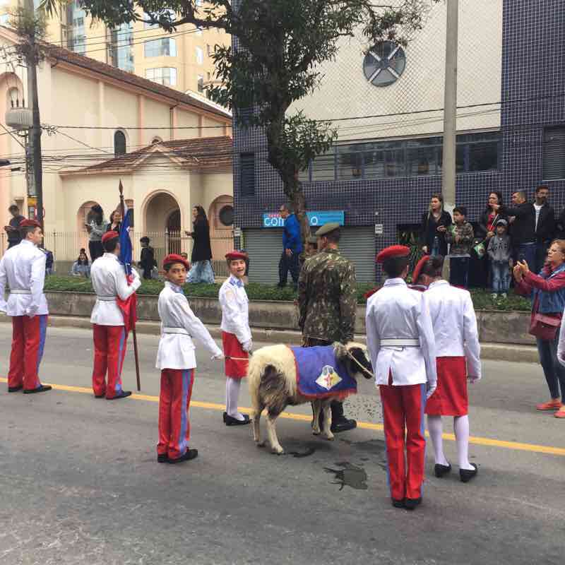 Civic-Military Parade walking route map in Juiz de Fora