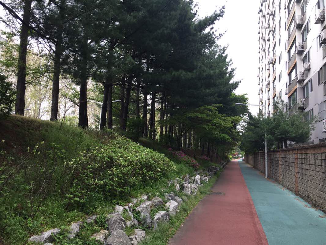 清克里琴科散步路線 清州市 忠清北道 大韓民國 Pacer