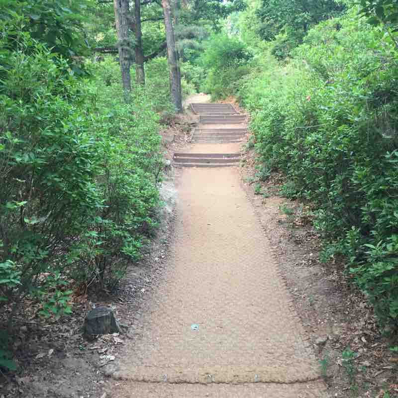 청계산에서 마음다스리기 