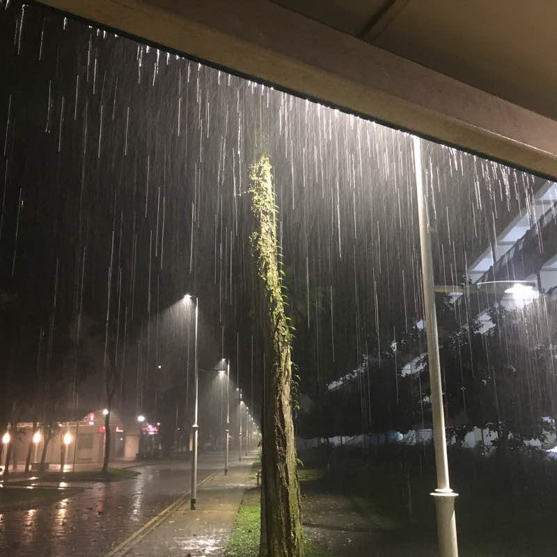 Walking or Running Under Cover..... 