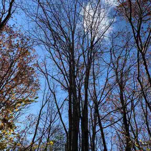 Gina’s zany walking route in Falmouth, Maine walking route map in Falmouth