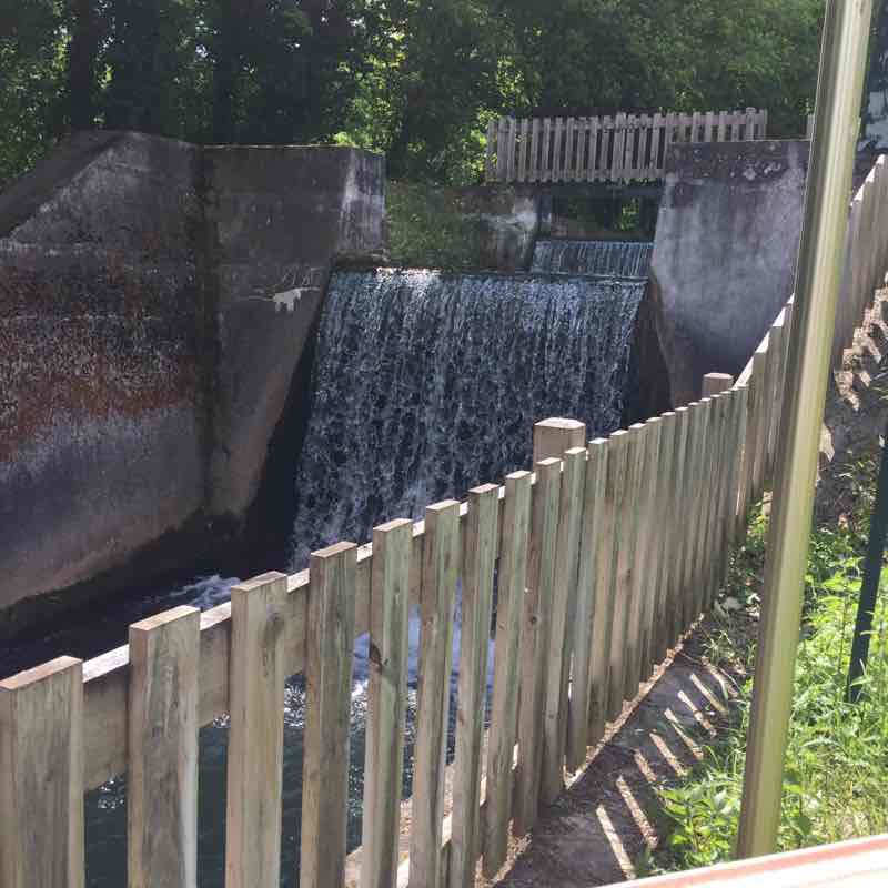 Hombourg Sports Trail walking route map in Hombourg