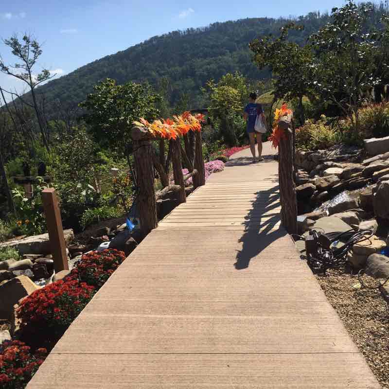 Anakeesta.Gatlimburg