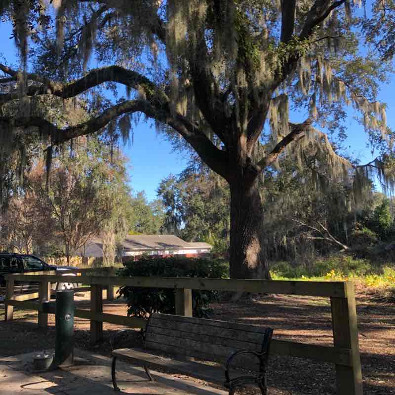 Beaufort Historic Downtown-Magnolia Line Trail