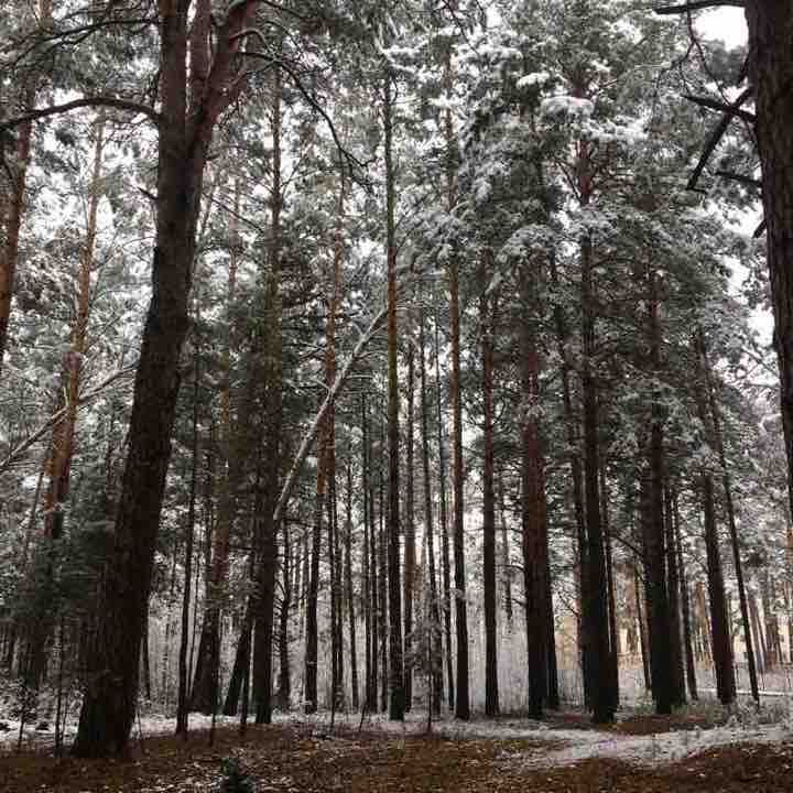 Трасса здоровья