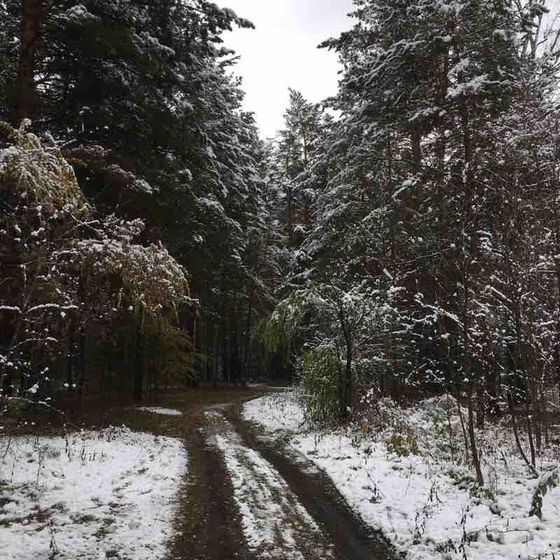 Barnaul relict pine forest walking route map in Yuzhnyy