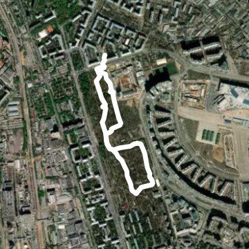 березовая роща 