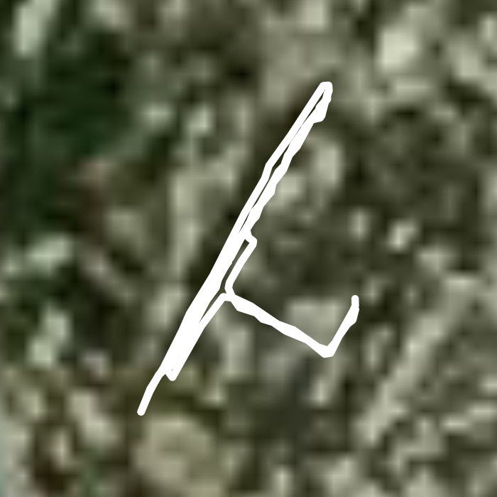 вдоль реки Сочи аллея в тени деревьев