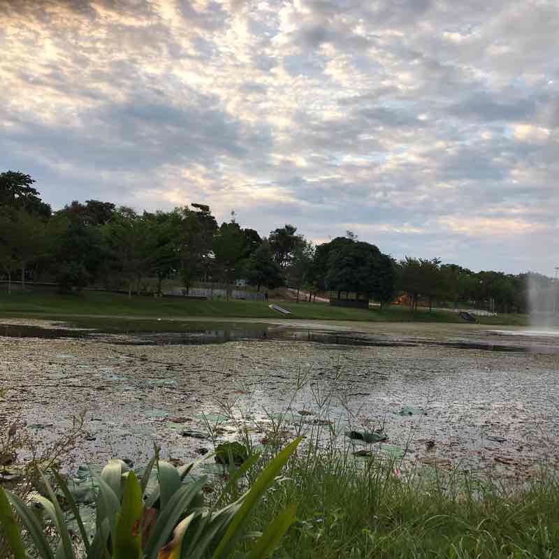 City Lake of Seriemas walking route map in Nilai
