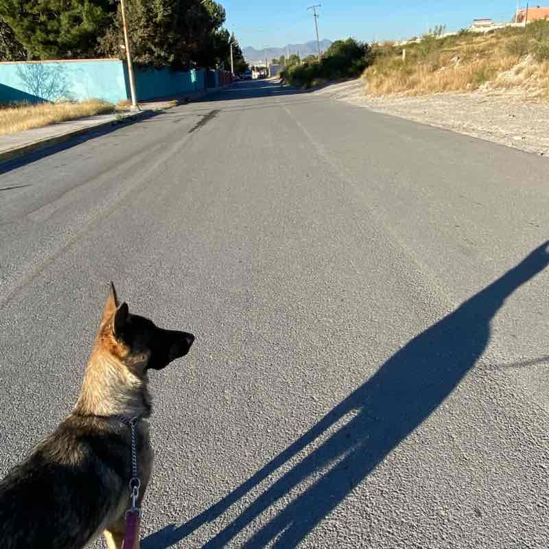 Calles del pueblo mágico