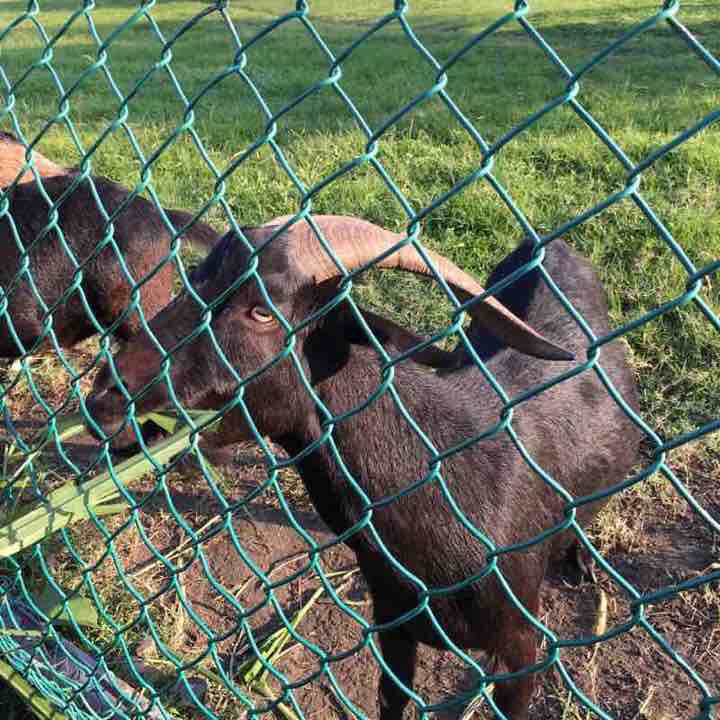 河濱自行車道🚲