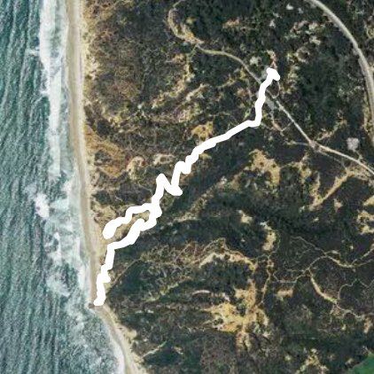 Torrey Pines Beach trail