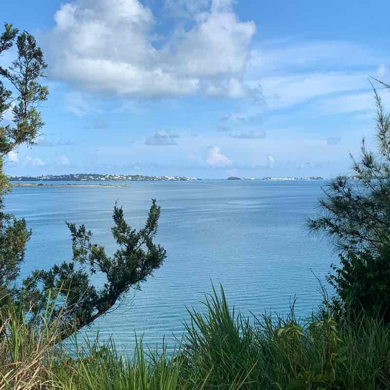 TribeRd 5⭐️views 