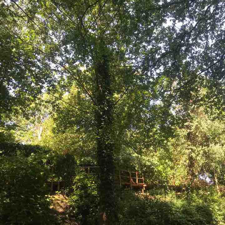 Channel walking route map in Nant-y-derry