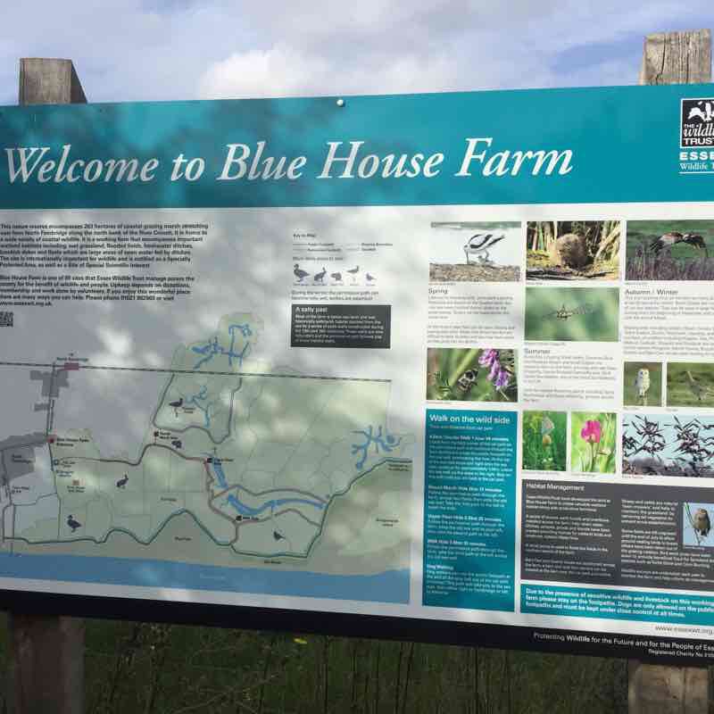 Blue House Farm Nature Reserve Ferry Boat Inn Walk Trail North