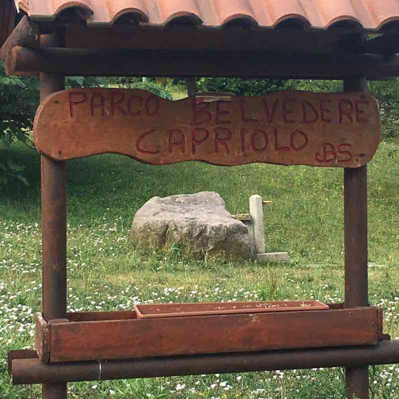 The mountain and strike walking route map in Adro