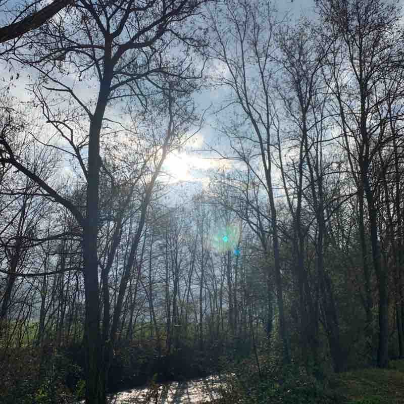 Pista ciclabile Bibbiena-Soci