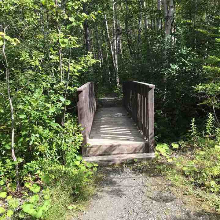 Three mountain bear trail 