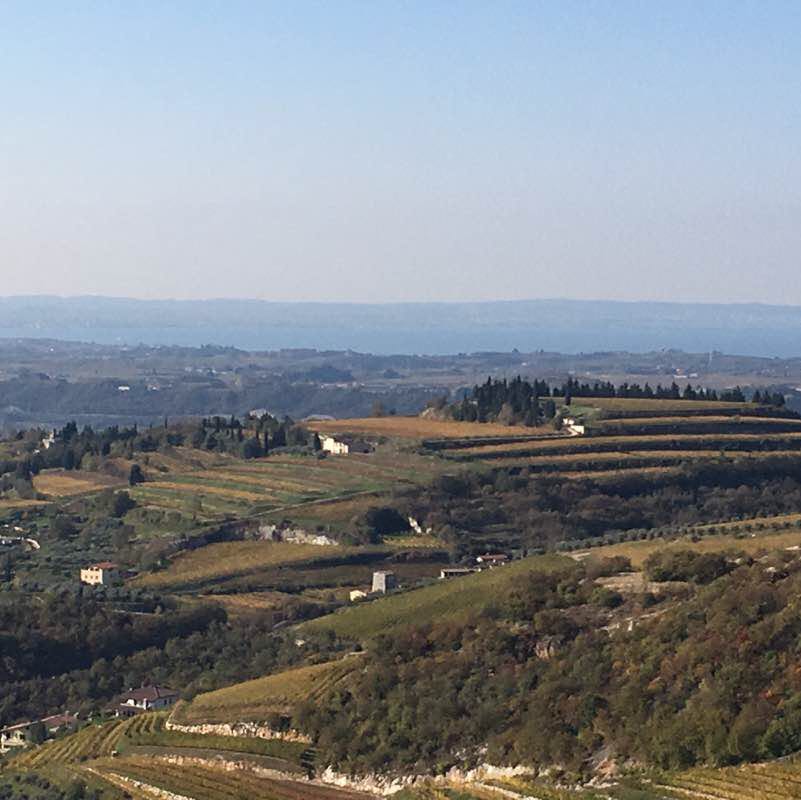 From the Adige to Amarone walking route map in Parona